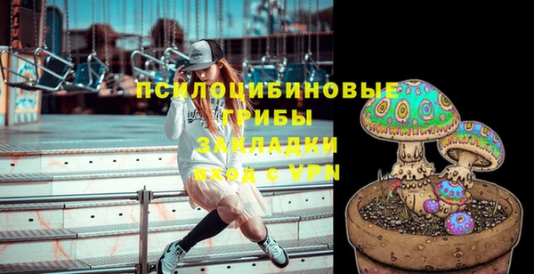 не бодяженный Новосибирск