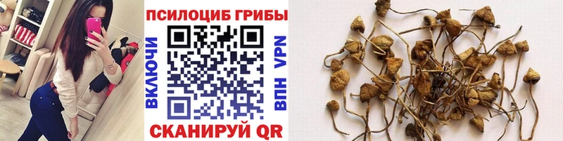 как найти наркотики  ОМГ ОМГ онион  Галлюциногенные грибы мухоморы  Нестеровская 