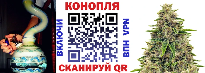 дарнет шоп  Нестеровская  Шишки марихуана MAZAR 